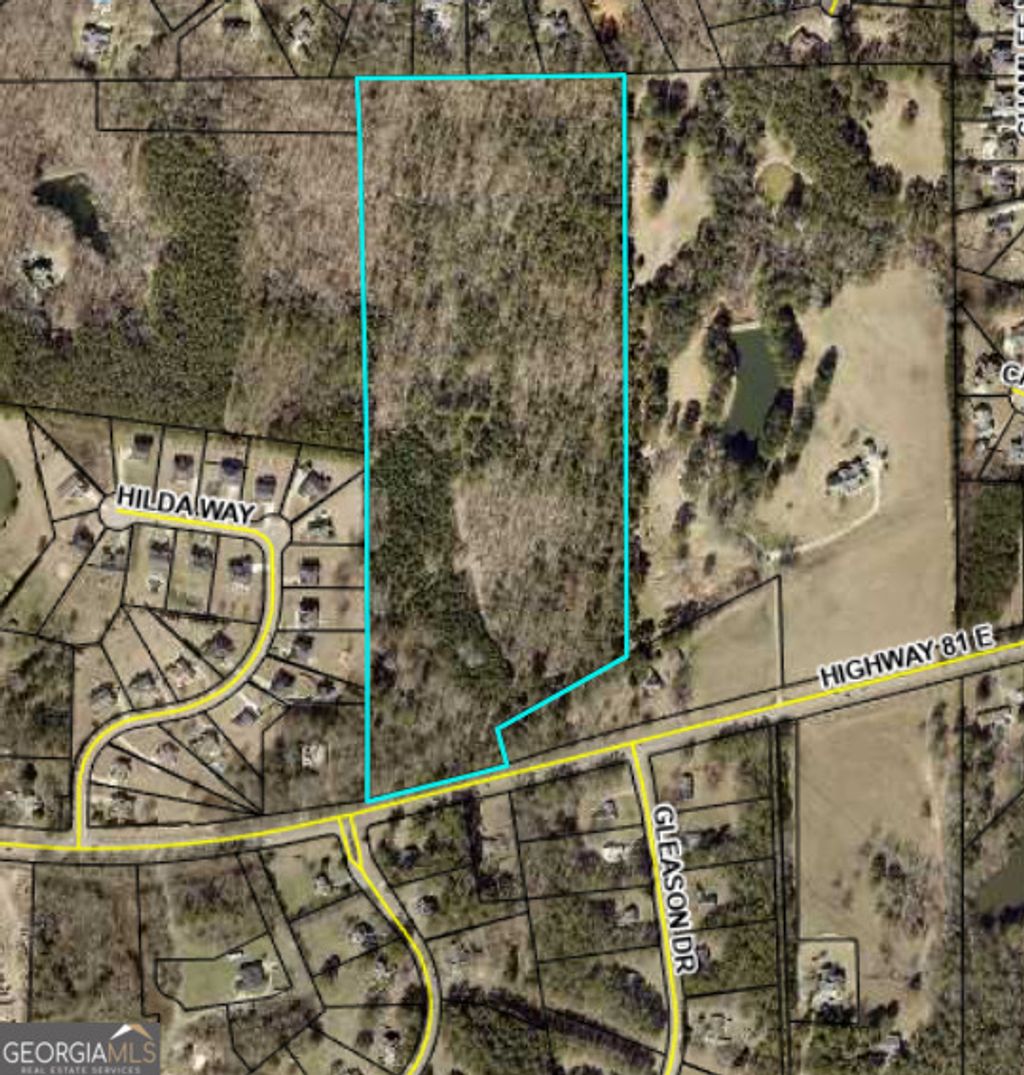 Photo of 0 Highway 81 East, McDonough, GA 30252 (MLS # 10721280)