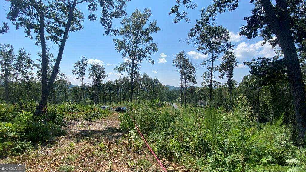 Photo of 1084 Highgrove Drive #276, Talking Rock, GA 30175 (MLS # 10822920)