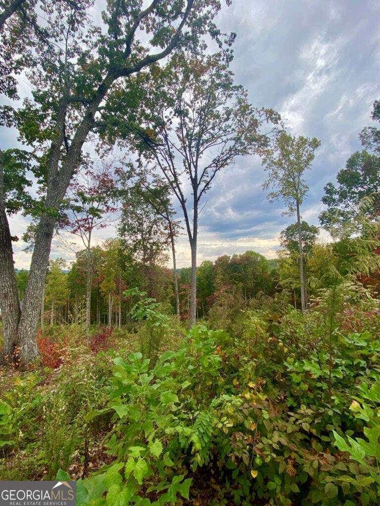 Photo of 1084 Highgrove Drive #276, Talking Rock, GA 30175 (MLS # 10822920)