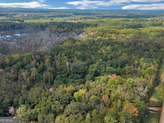 1284 HIGHWAY 18 W, BARNESVILLE, GA 30204 - Image db0d69b76b0b171d355ee2b42534ce4a/4257888645