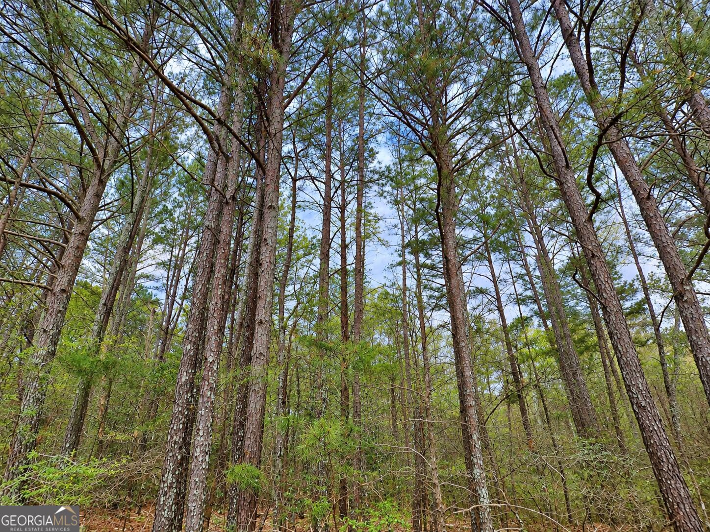 0.53 ACRES Maddox Lake RD
