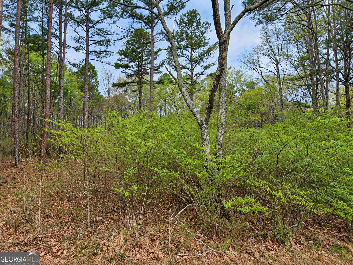 0.53 ACRES Maddox Lake RD
