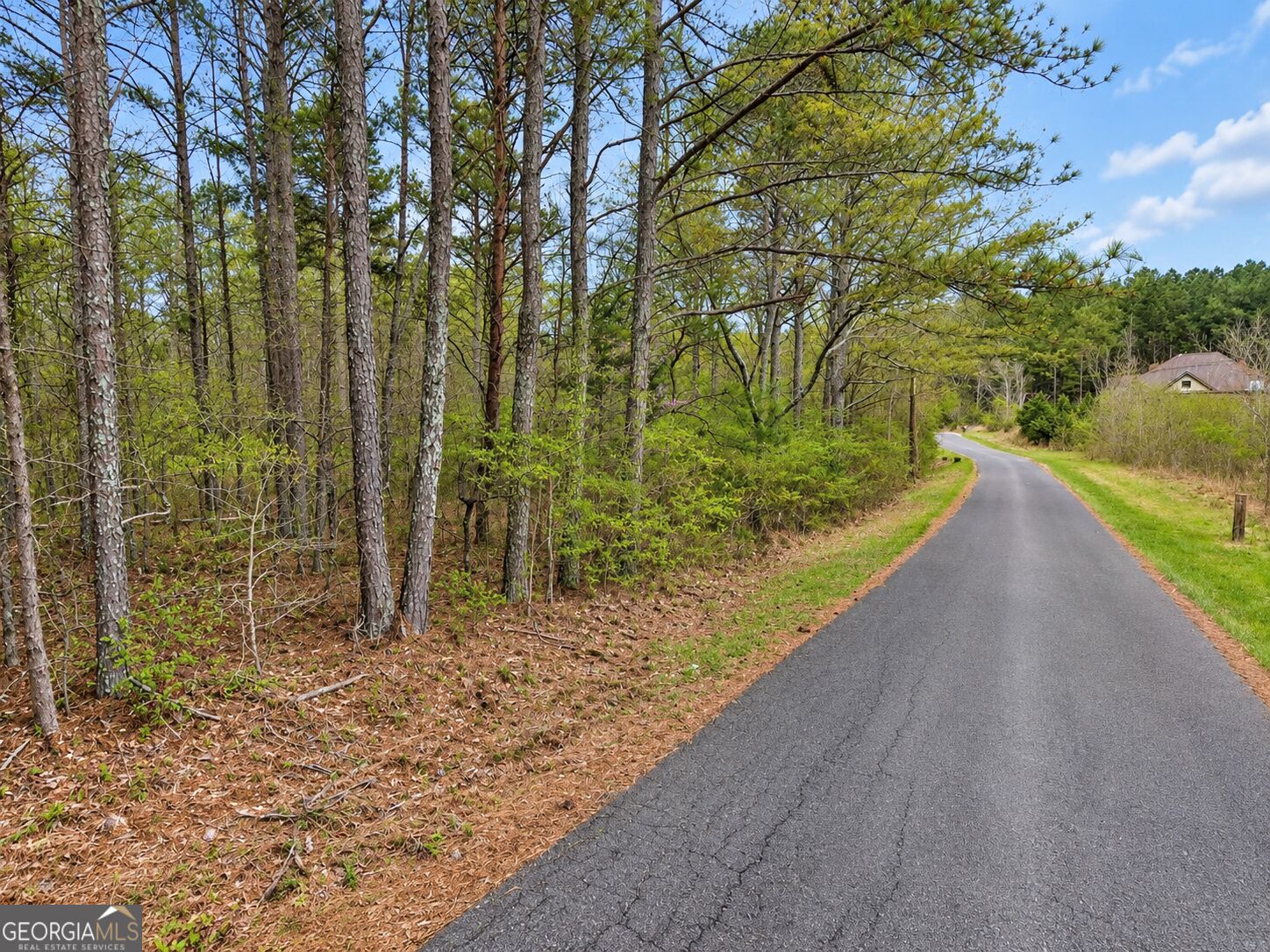 0.53 ACRES Maddox Lake RD