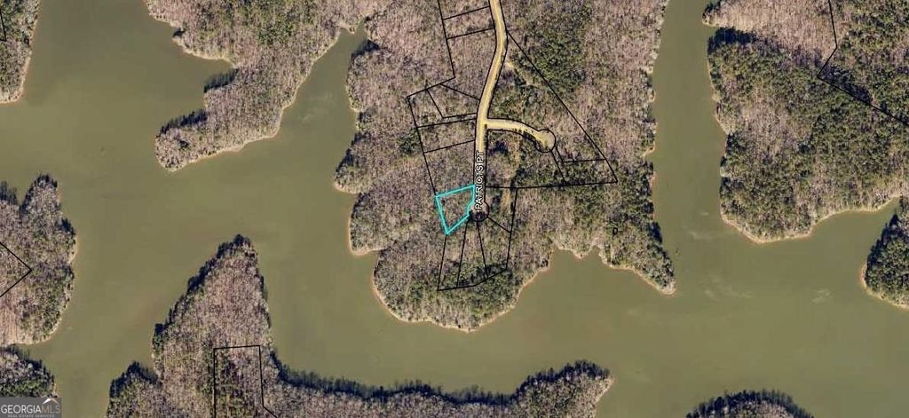 Photo of 24 Patriots Point, Elberton, GA 30635 (MLS # 10772516)