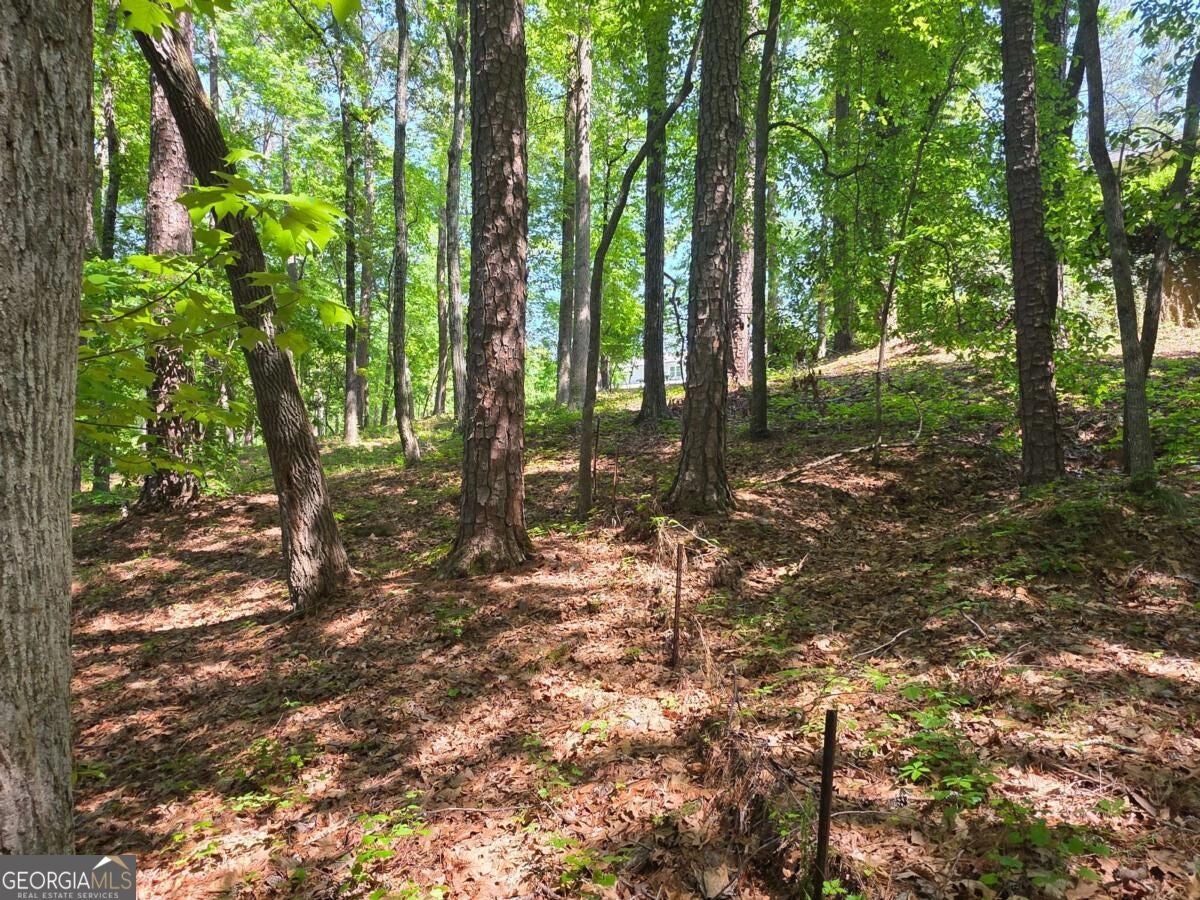115 Cornish Trace DR LOT 11