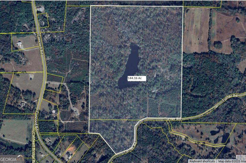 Photo of 481 Turner Road, Concord, GA 30206 (MLS # 10658194)