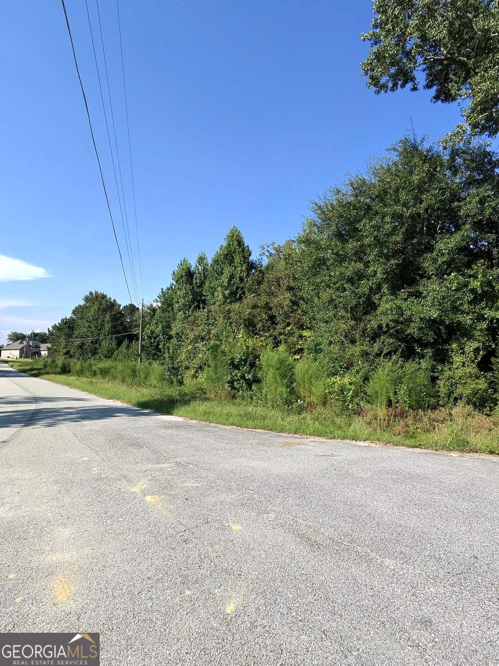 Photo of 4003 Sunni Court, MACON, GA 31216 (MLS # 10833735)
