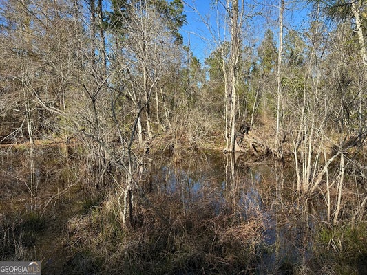 MT ZION RD, GORDON, AL 36343 - Image db43b2eff9edcc1766ae780edd5d5672/951453935