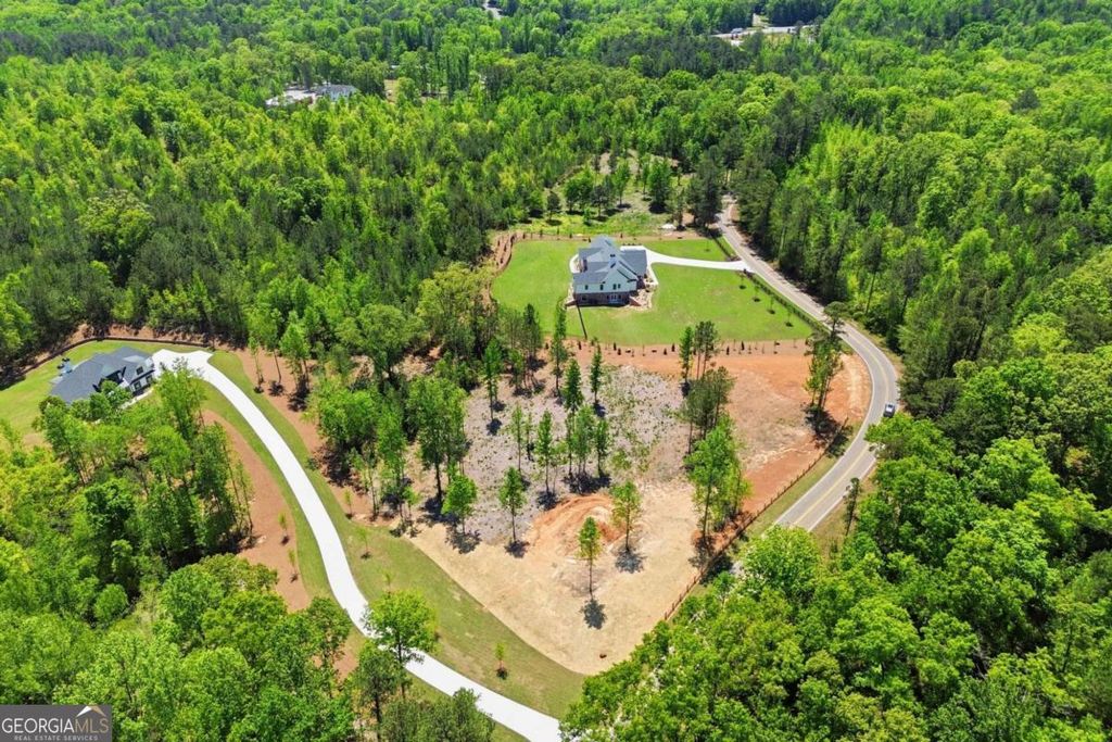 Photo of 460 Mt. Olive Church Lane, White, GA 30184 (MLS # 10756490)