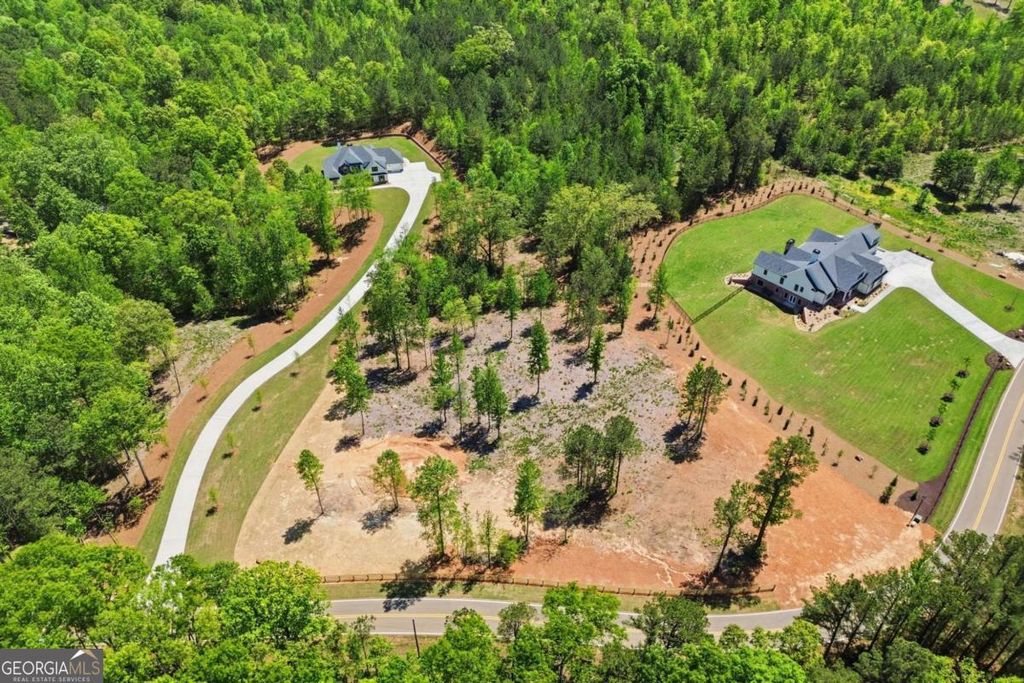 Photo of 460 Mt. Olive Church Lane, White, GA 30184 (MLS # 10756490)