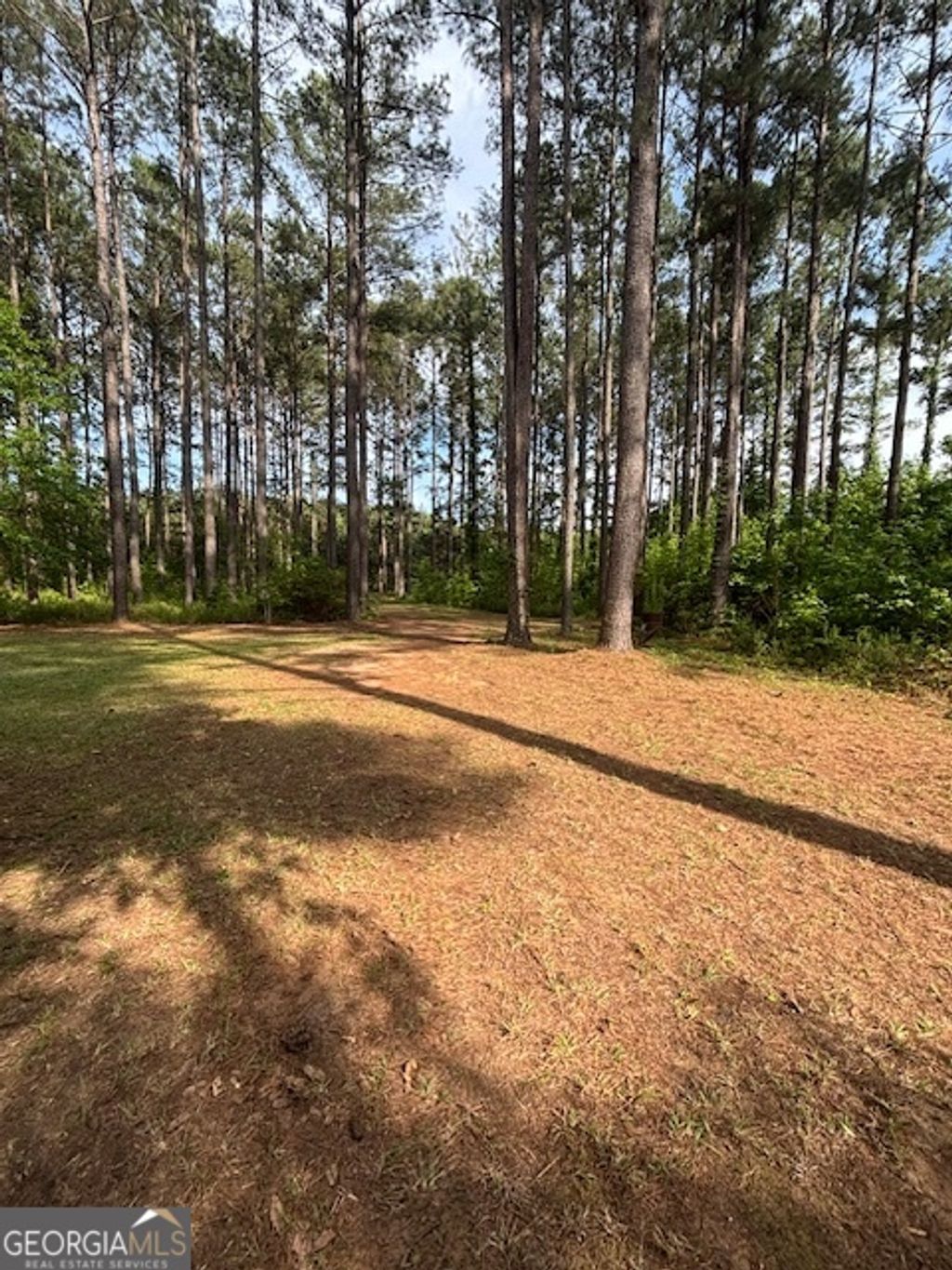 Photo of 1171 1st Street, Montrose, GA 31065 (MLS # 10767928)