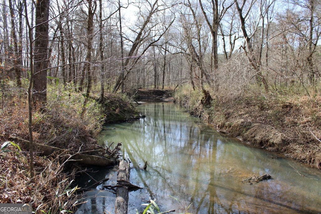 Photo of 0000 Greenesboro Road NW, Union Point, GA 30669 (MLS # 10879295)