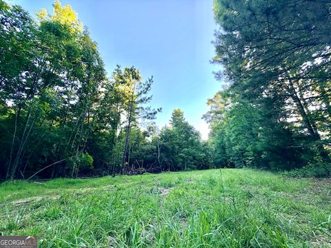 Photo of 2787 Cedar Creek Road, Elberton, GA 30635 (MLS # 10787962)