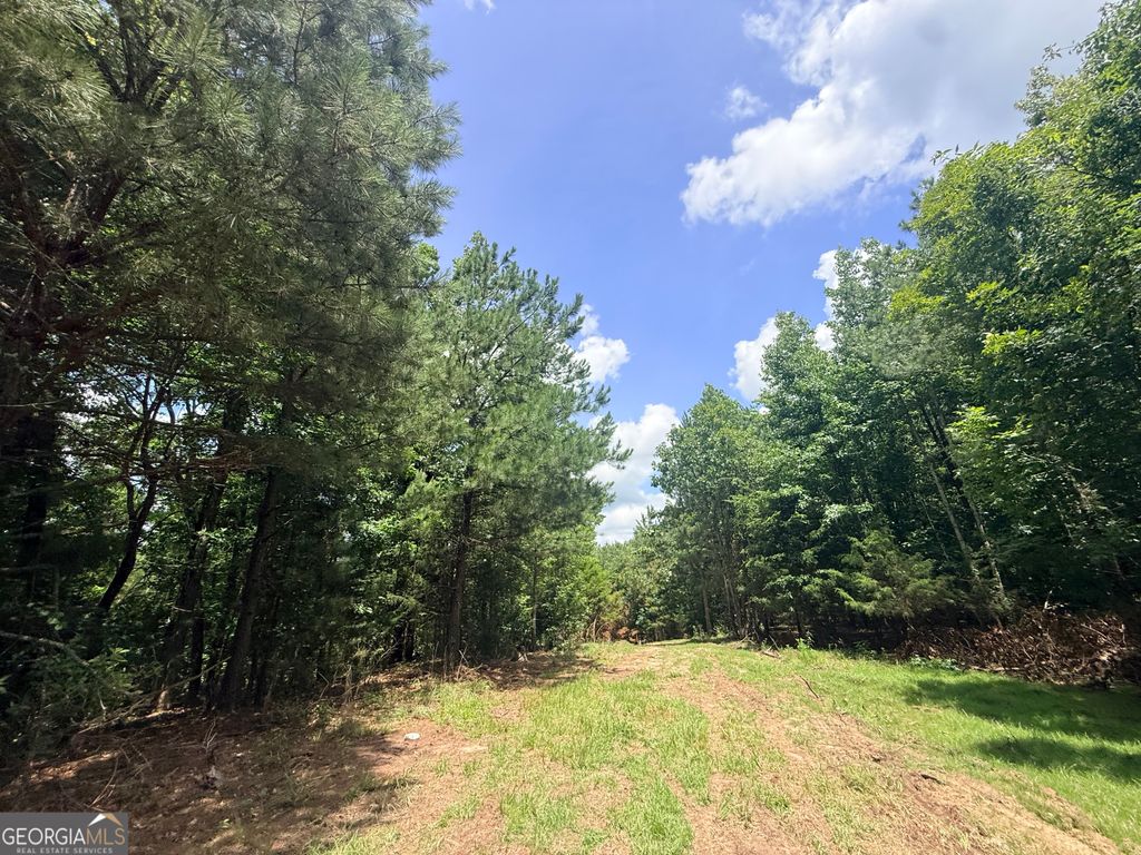 Photo of 2787 Cedar Creek rd, Elberton, GA 30635 (MLS # 10787962)