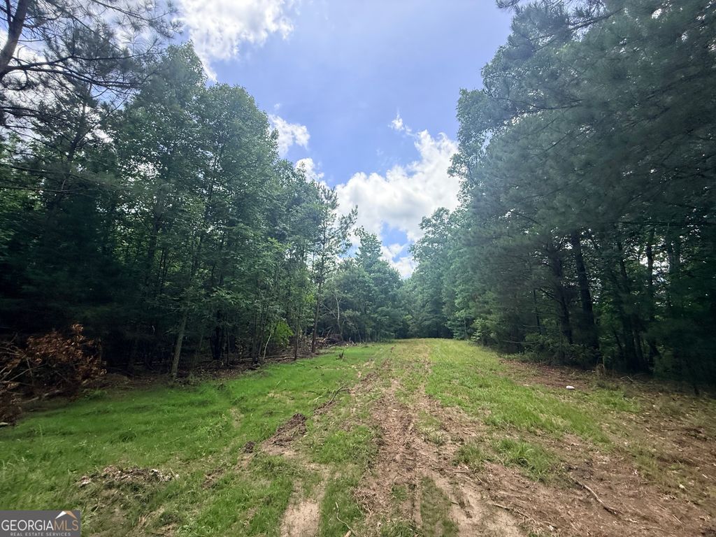 Photo of 2787 Cedar Creek rd, Elberton, GA 30635 (MLS # 10787962)