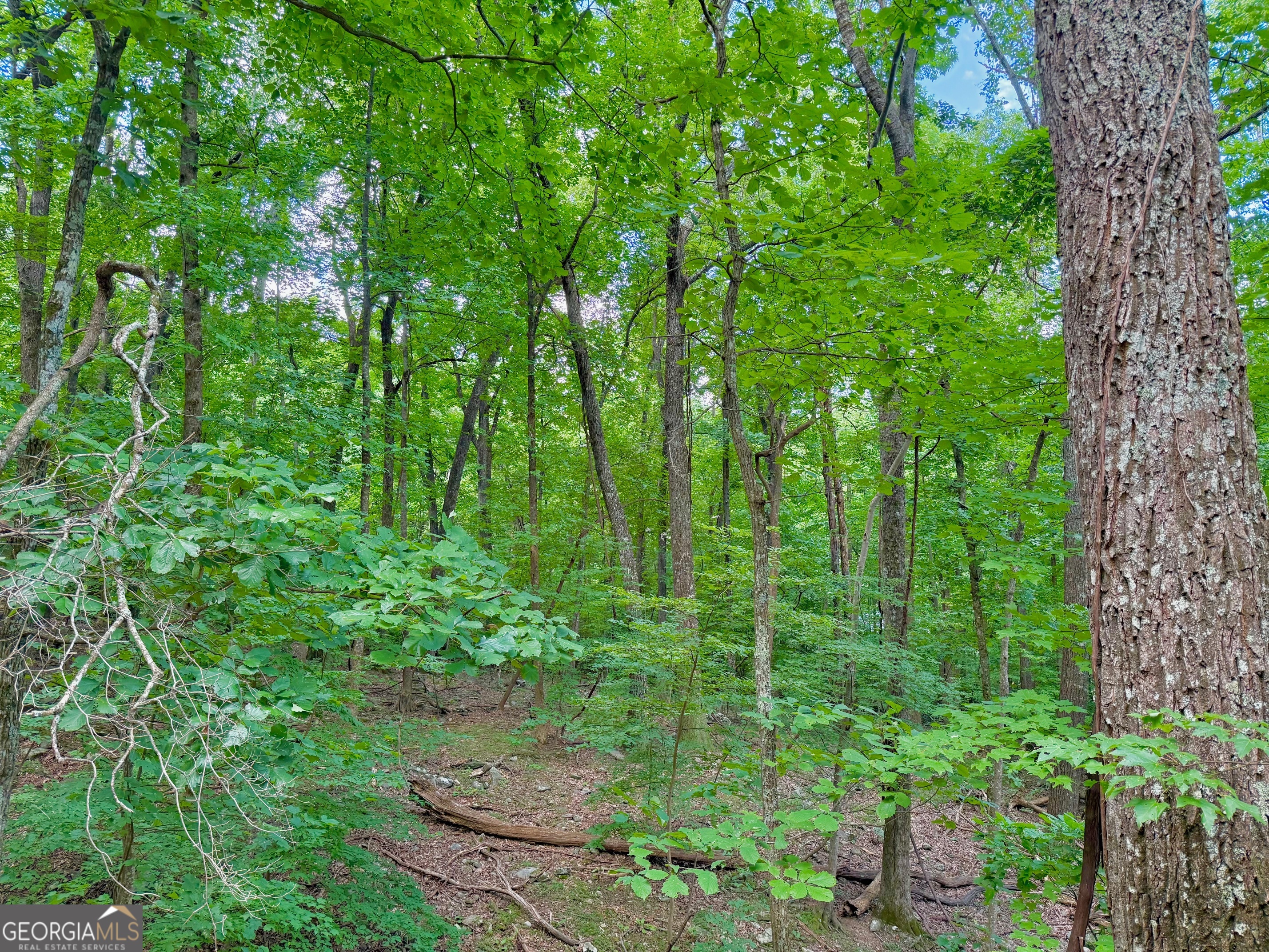 3238 Coffey Cove DR