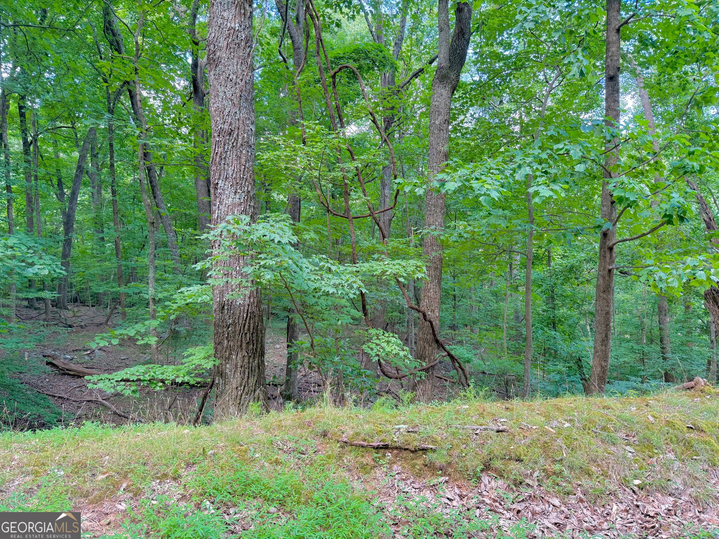 3238 Coffey Cove DR