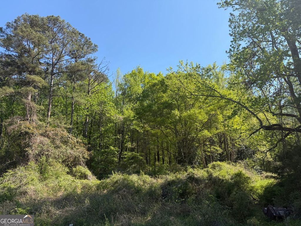 Photo of 1574 Mt Bethel Road, McDonough, GA 30252 (MLS # 10729104)