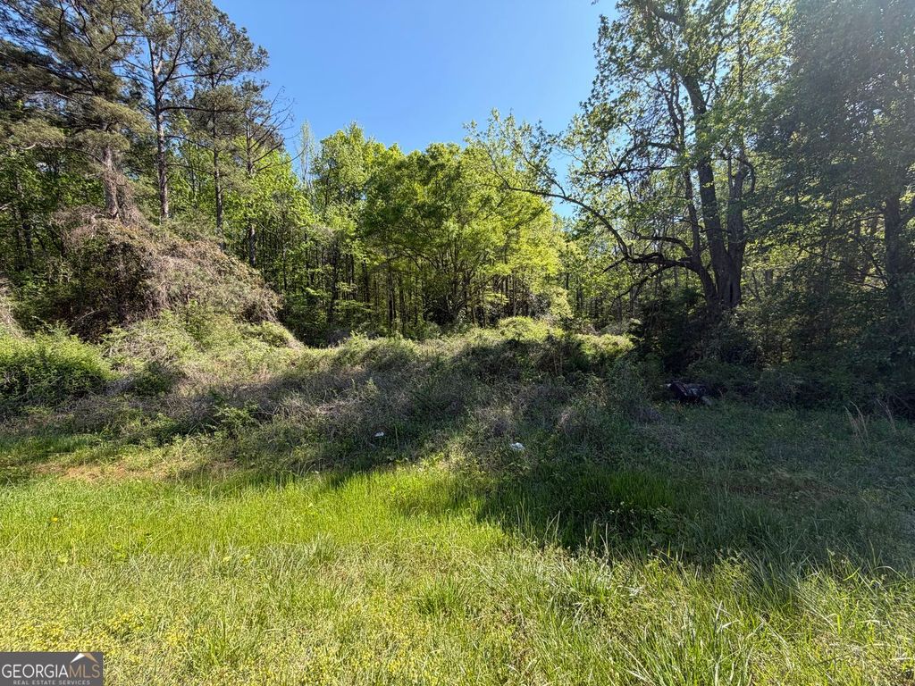 Photo of 1574 Mt Bethel Road, McDonough, GA 30252 (MLS # 10729104)