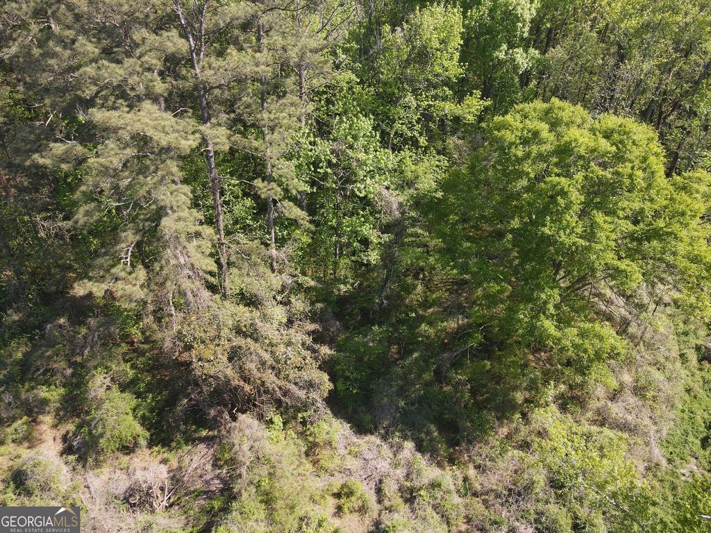 Photo of 1574 Mt Bethel Road, McDonough, GA 30252 (MLS # 10729104)