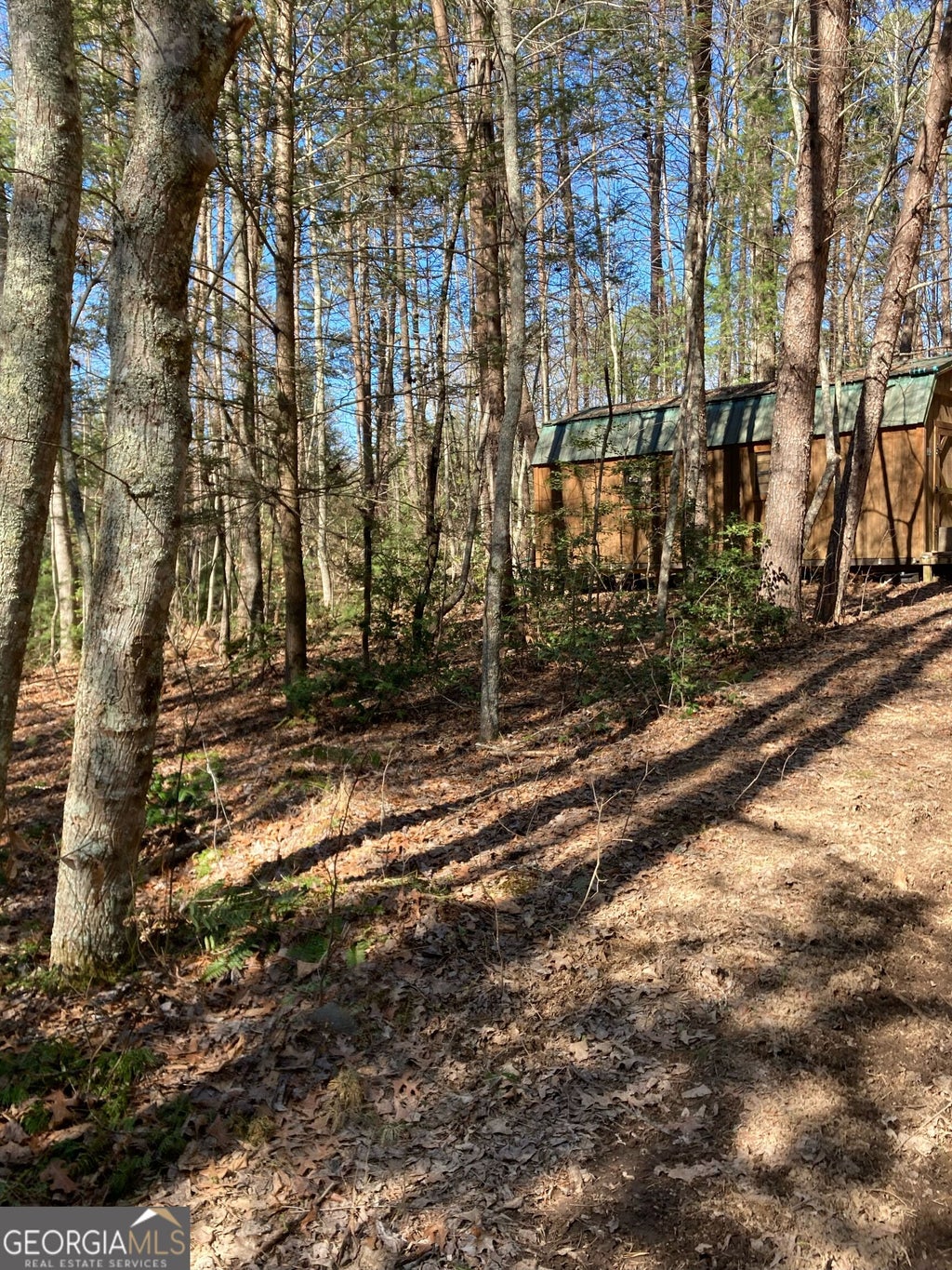 Photo of 1 Barker Lane, Blue Ridge, GA 30513 (MLS # 10874686)