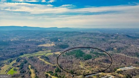 989 Irwin Mill RD SE Fairmount GA 30139