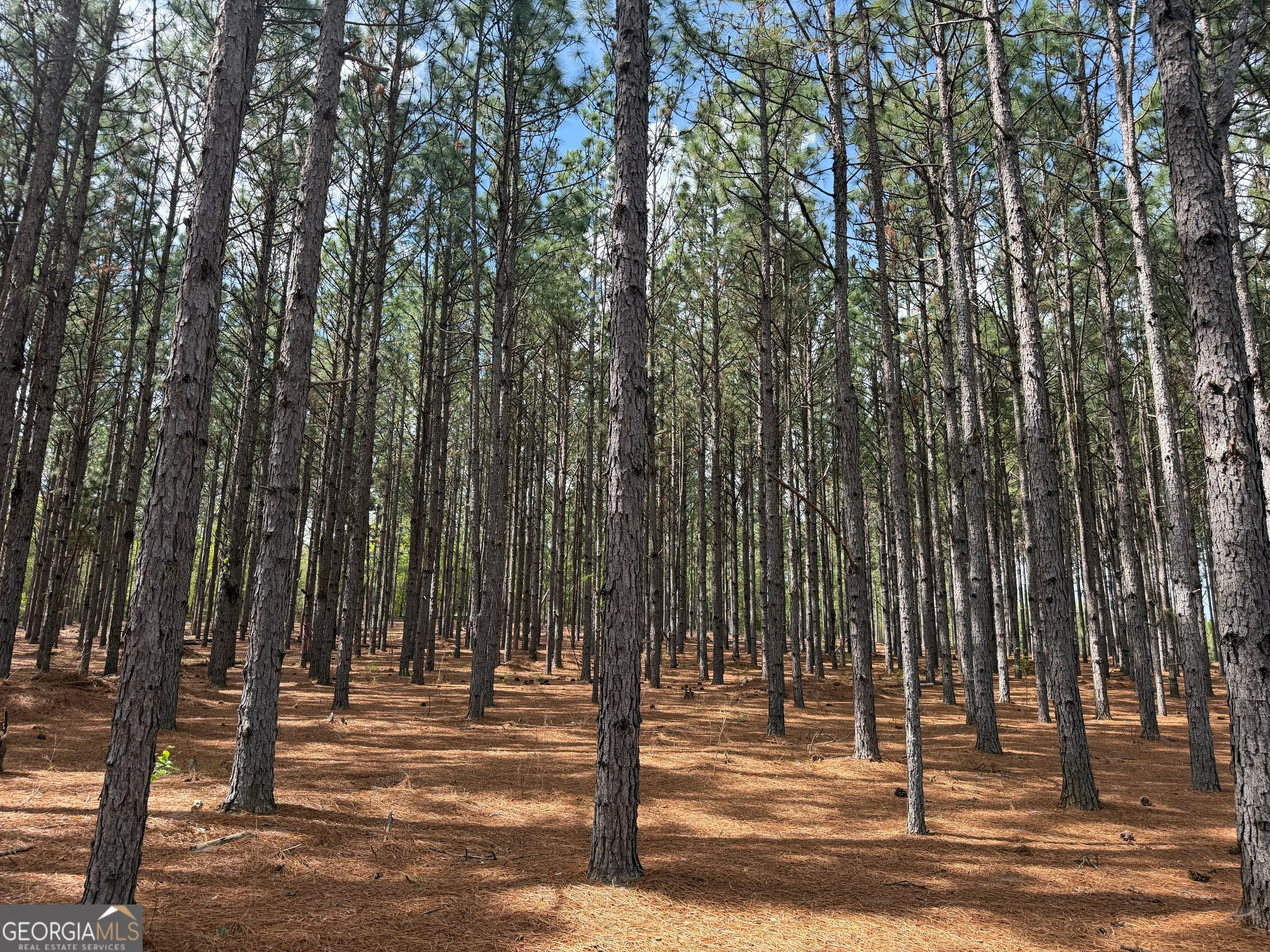 09 Barge Road, Lumpkin, GA, 31815