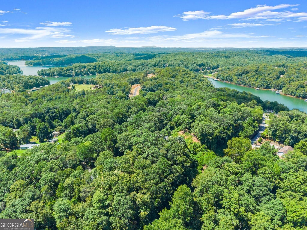Photo of 6317 Falcon Lane, Gainesville, GA 30506 (MLS # 10843151)