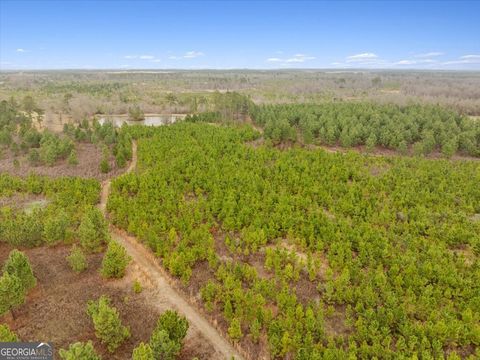 Photo of 0 Blue Springs, Sylvester, GA 31791 (MLS # 10558595)