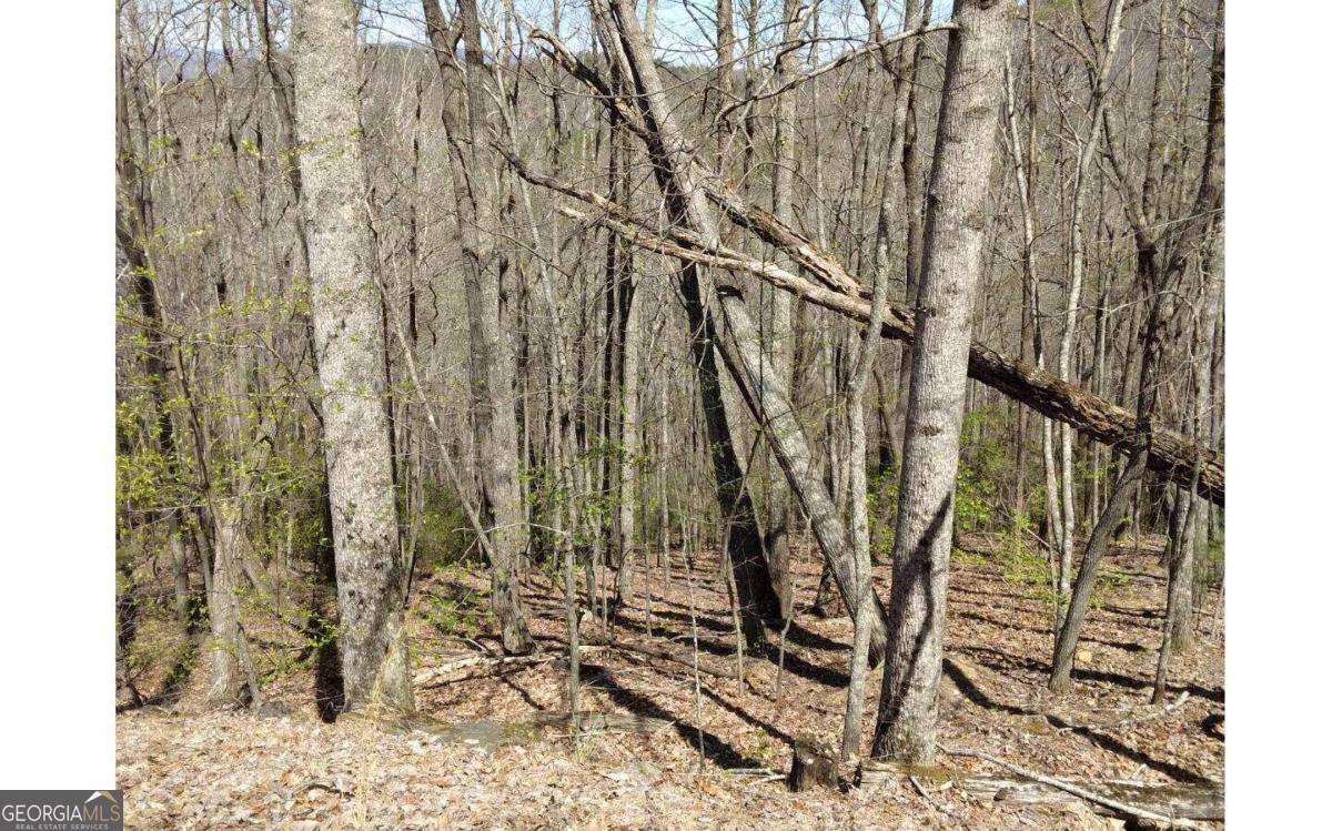 M99 Sleepy Hollow RD M99