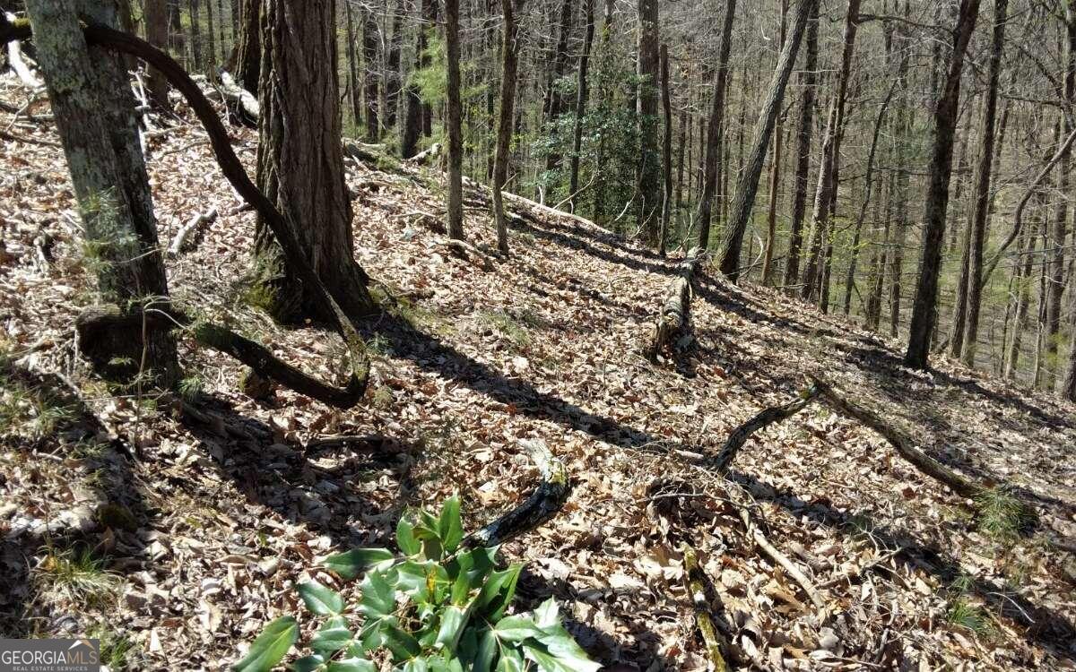 M99 Sleepy Hollow RD M99