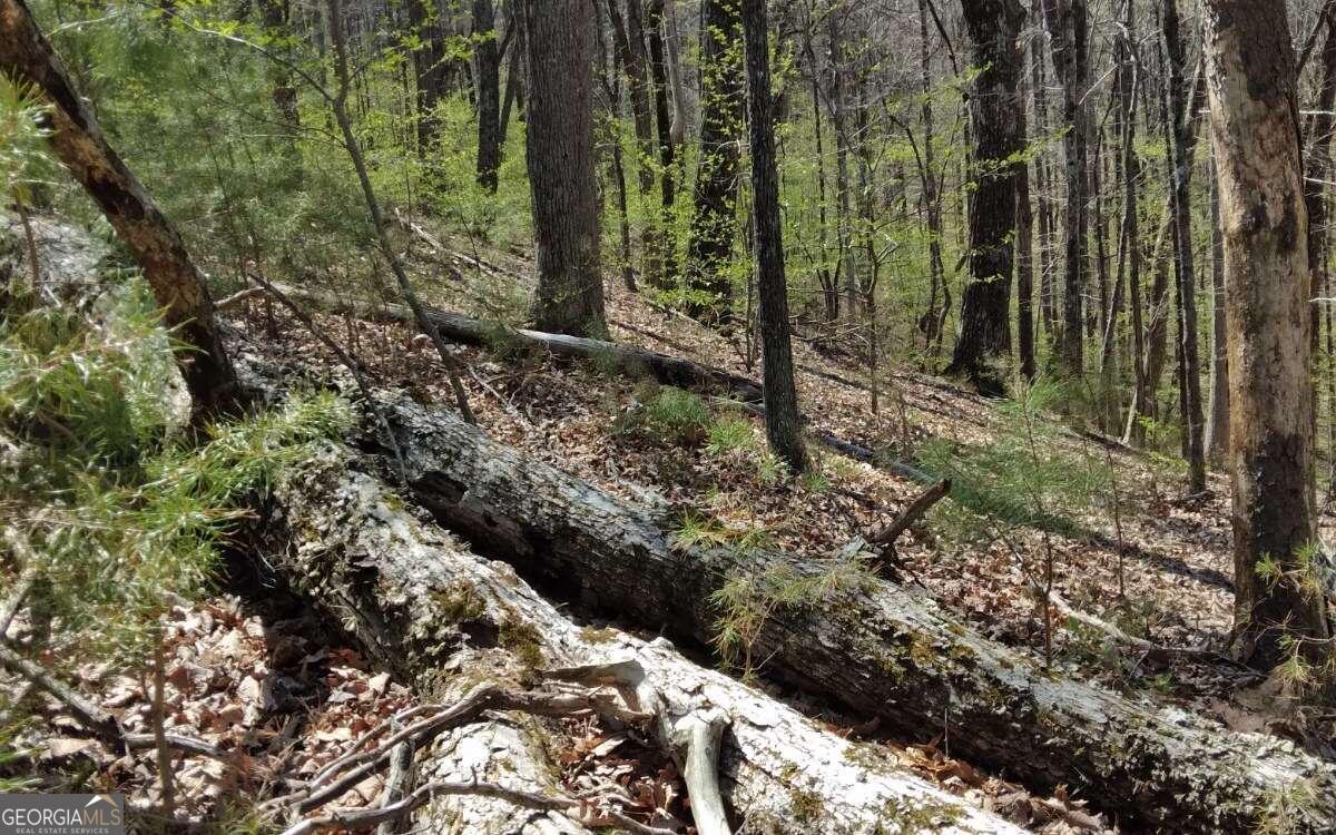 M99 Sleepy Hollow RD M99