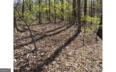 M99 Sleepy Hollow RD M99 Ellijay GA 30536