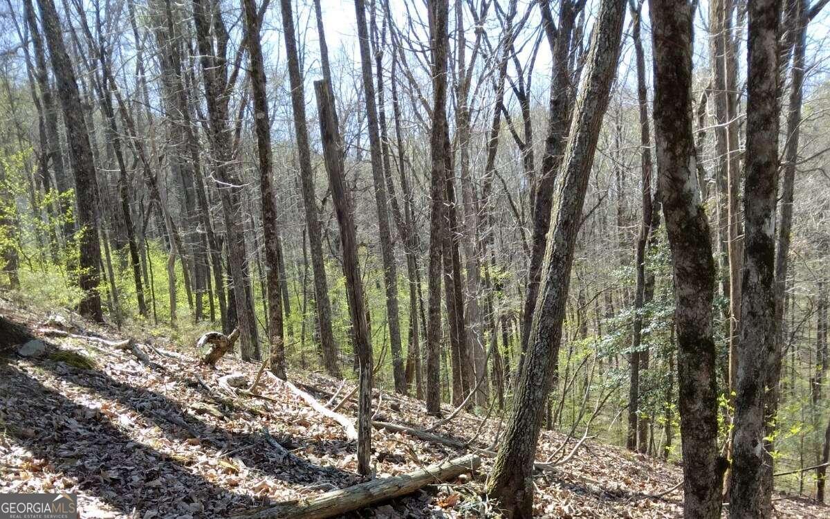 M99 Sleepy Hollow RD M99