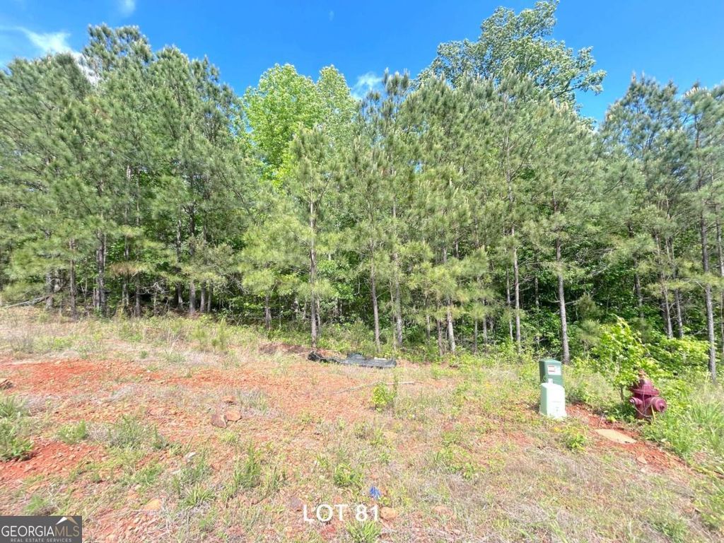 Photo of 208 Oakdale Way, Temple, GA 30179 (MLS # 10767912)