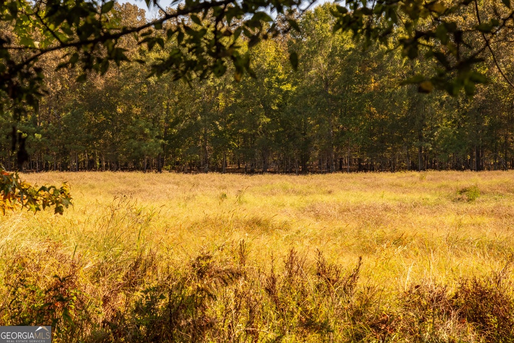 Photo of 101112 Livingston Rd SW, Rome, GA 30161 (MLS # 10850716)