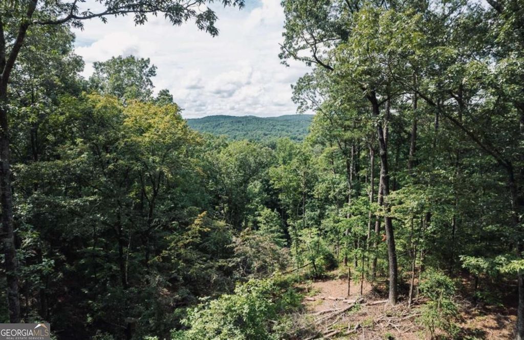 Photo of 314 Pebble Trace #314, Talking Rock, GA 30175 (MLS # 10724186)