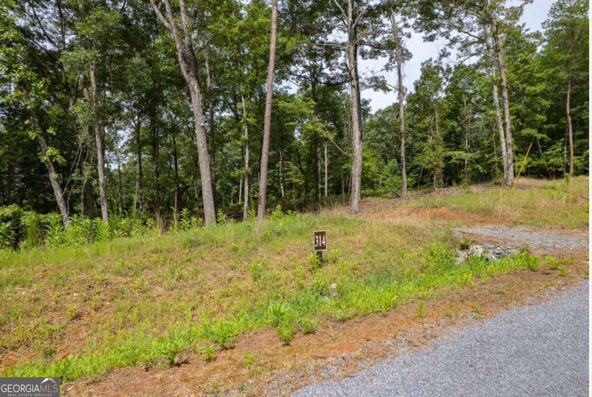 LOT 314 Pebble TRCE 314