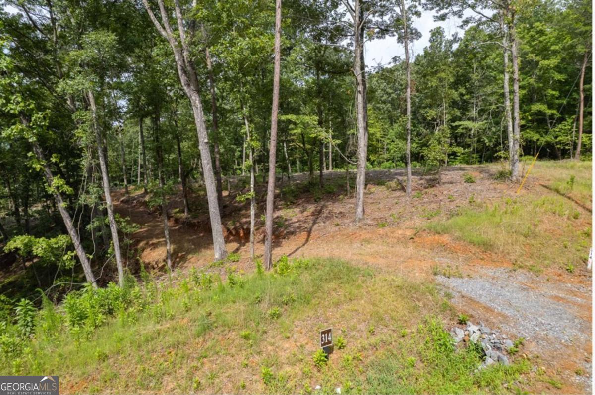 LOT 314 Pebble TRCE 314