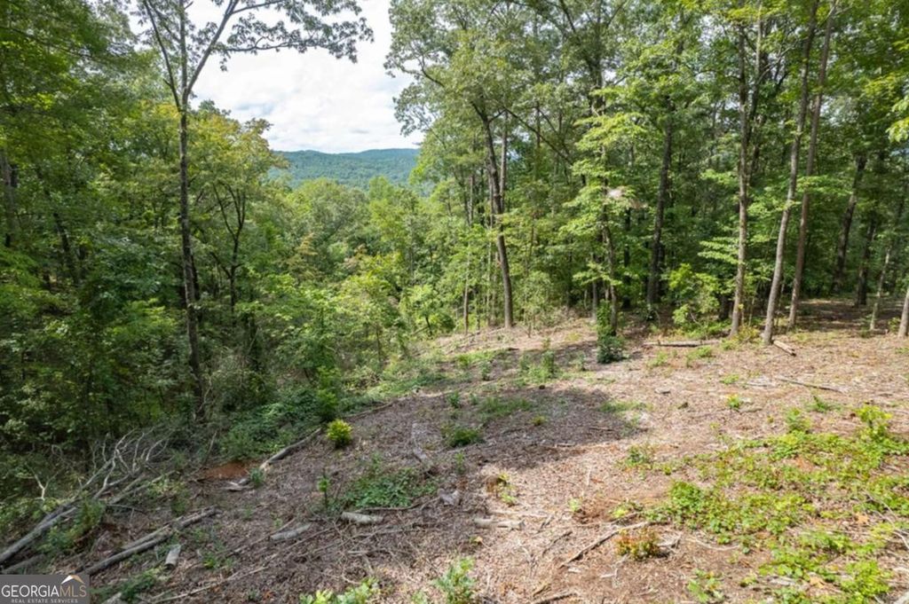 Photo of 314 Pebble Trace #314, Talking Rock, GA 30175 (MLS # 10724186)