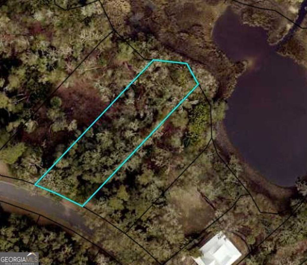 Photo of 303 S Point Boulevard, Saint Marys, GA 31558 (MLS # 10709145)