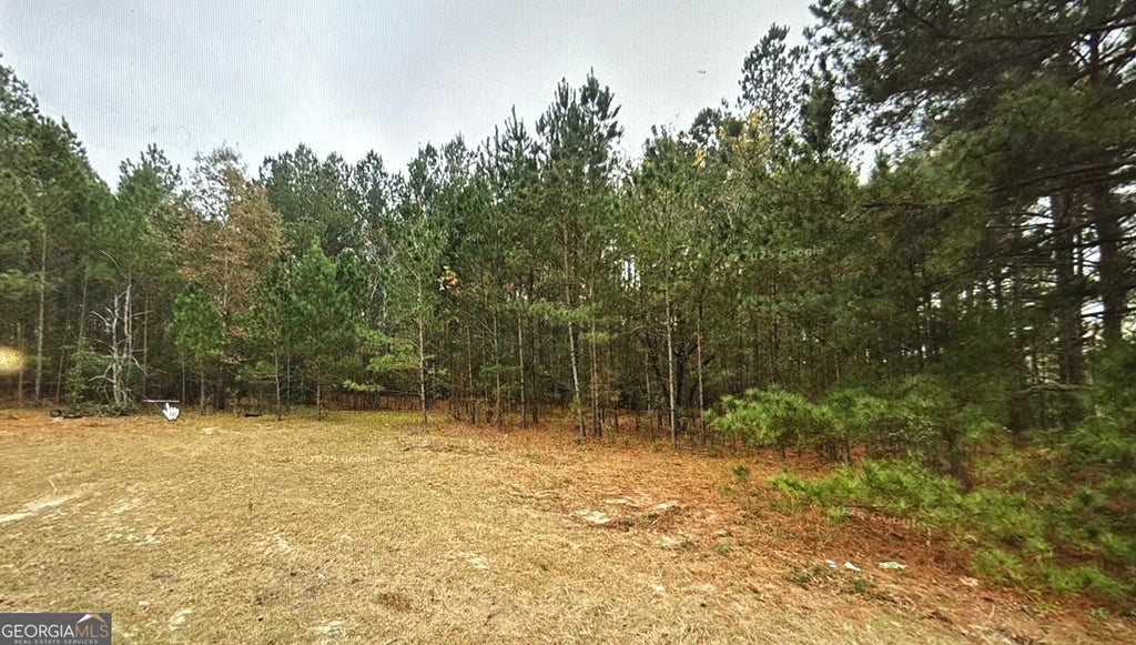 Photo of 0 Pats Ln, Statesboro, GA 30461 (MLS # 10881457)
