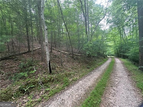 Photo of 1 New Bethel Ch Road, Dawsonville, GA 30534 (MLS # 10789385)