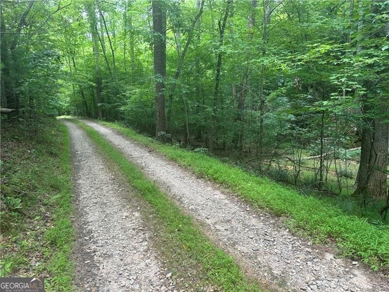Photo of 1 New Bethel Ch Road, Dawsonville, GA 30534 (MLS # 10789385)