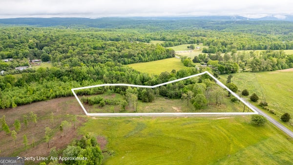 STATE RTE 301, TRENTON, GA 30752 - Image dbfb5ca248abfac9451f3637ff7aad21/944653801