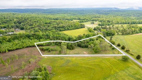 Photo for 0 Ga 301 HWY LOT 2