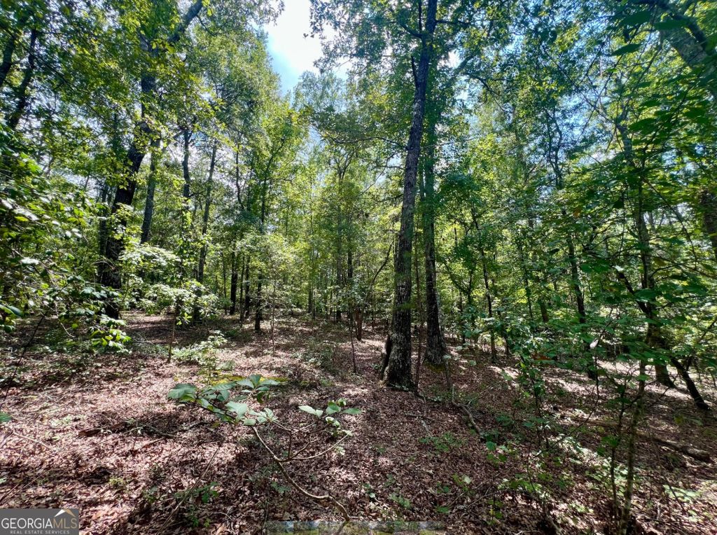 Photo of 329 Hardwood Hollow, Sandersville, GA 31082 (MLS # 10588972)