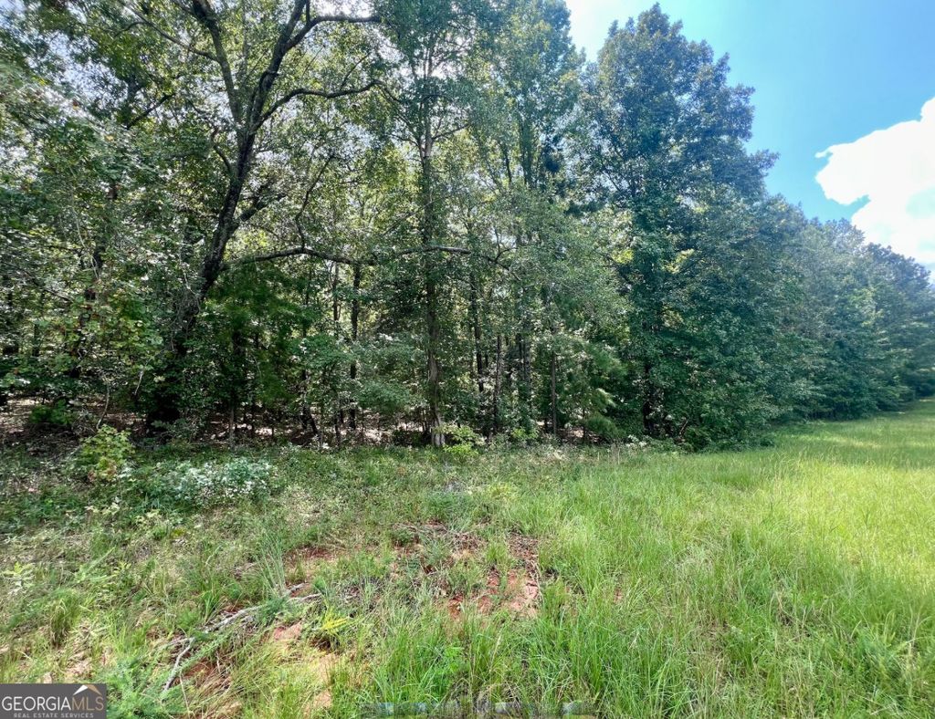 Photo of 329 Hardwood Hollow, Sandersville, GA 31082 (MLS # 10588972)