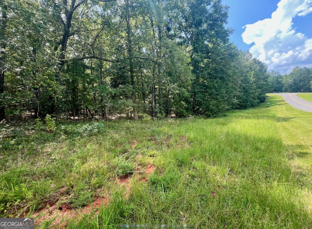 Photo of 329 Hardwood Hollow, Sandersville, GA 31082 (MLS # 10588972)