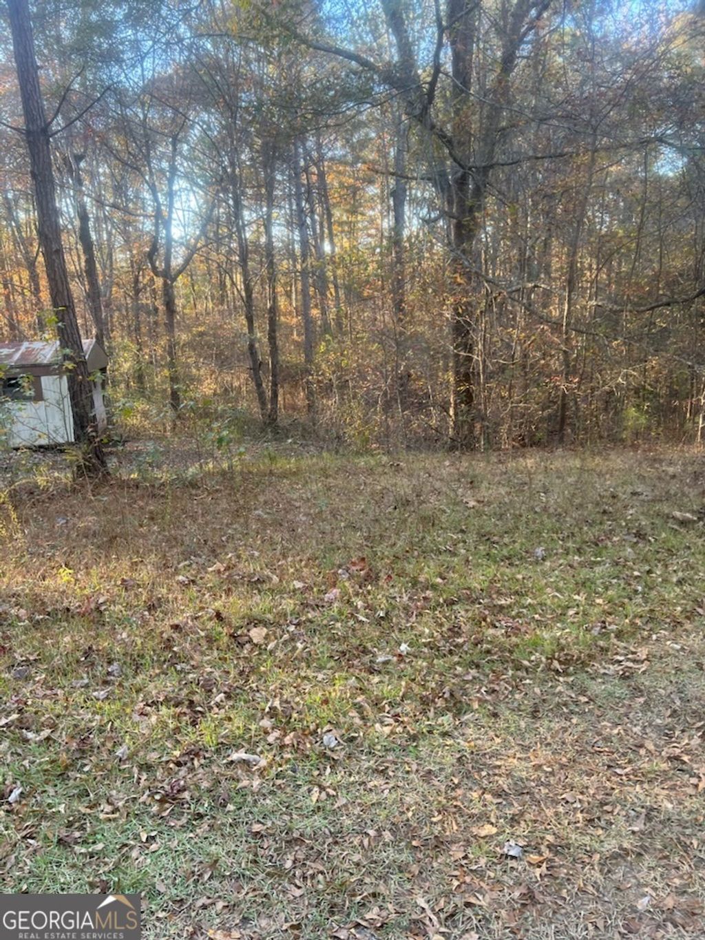 Photo of 1239 Cross Plains Road, Carrollton, GA 30116 (MLS # 10662139)